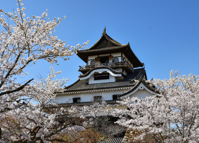 犬山市